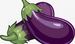 茄子漫画,趣味横生的日常趣事