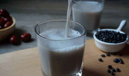 红枣黑豆芝麻豆浆,红枣黑豆芝麻豆浆，营养满分饮品新选择